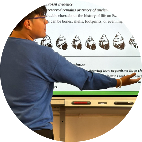 Person in a blue sweater pointing to a presentation slide about fossils on a digital whiteboard.