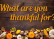 Text "What are you thankful for?" on a wooden background, with assorted autumn decorations including pumpkins, corn, and leaves arranged along the bottom.