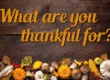Text "What are you thankful for?" on a wooden background, with assorted autumn decorations including pumpkins, corn, and leaves arranged along the bottom.