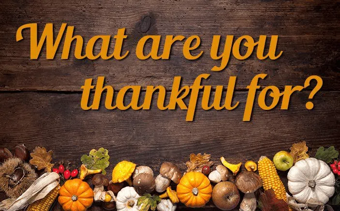 Text "What are you thankful for?" on a wooden background, with assorted autumn decorations including pumpkins, corn, and leaves arranged along the bottom.