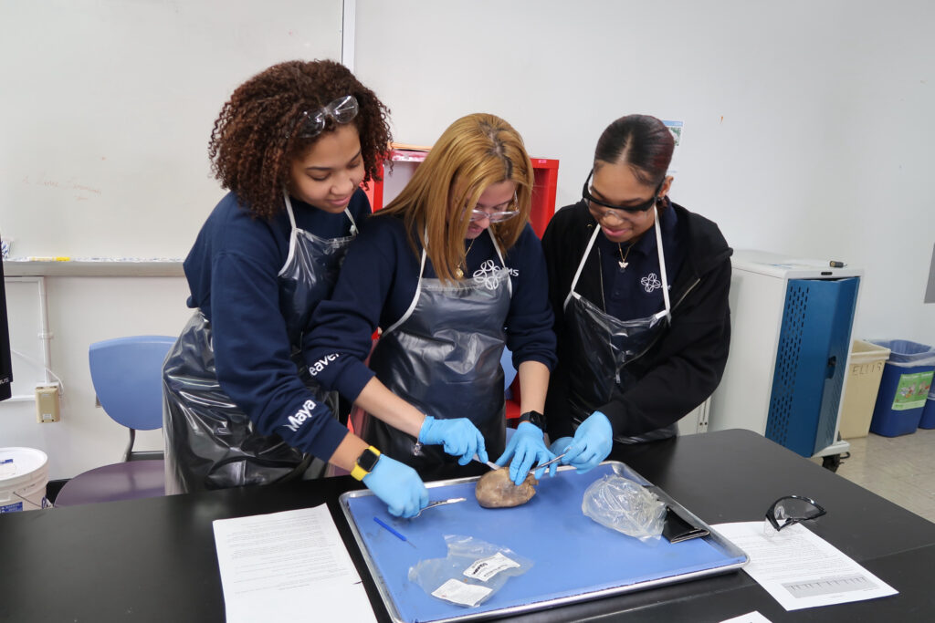 Three United Charter High School students wearing gloves and goggles dissect an organ on a tray in a science classroom.