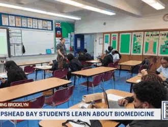 Students in a classroom work in groups and on computers while a teacher stands at the front; bulletin boards display the theme "Tree of Knowledge.