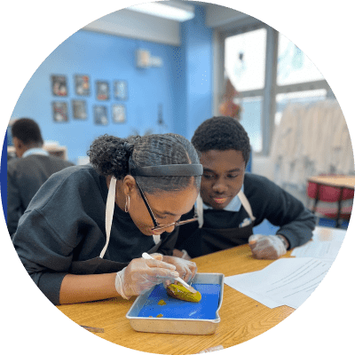 Two students wearing gloves and aprons examine a specimen in a tray during a science class in a classroom setting.