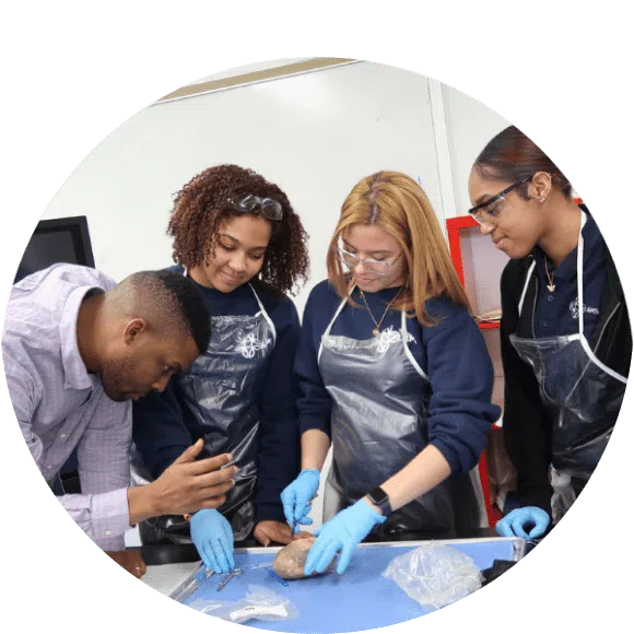 Three students in lab aprons and gloves observe as an instructor demonstrates a procedure on a specimen at a lab table.