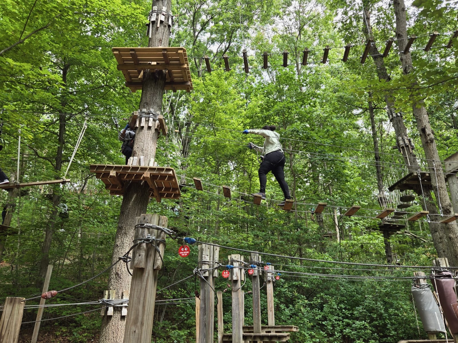 Students at summer bridge crossing a wooden rope bridge in a forest adventure park, surrounded by trees and safety cables.